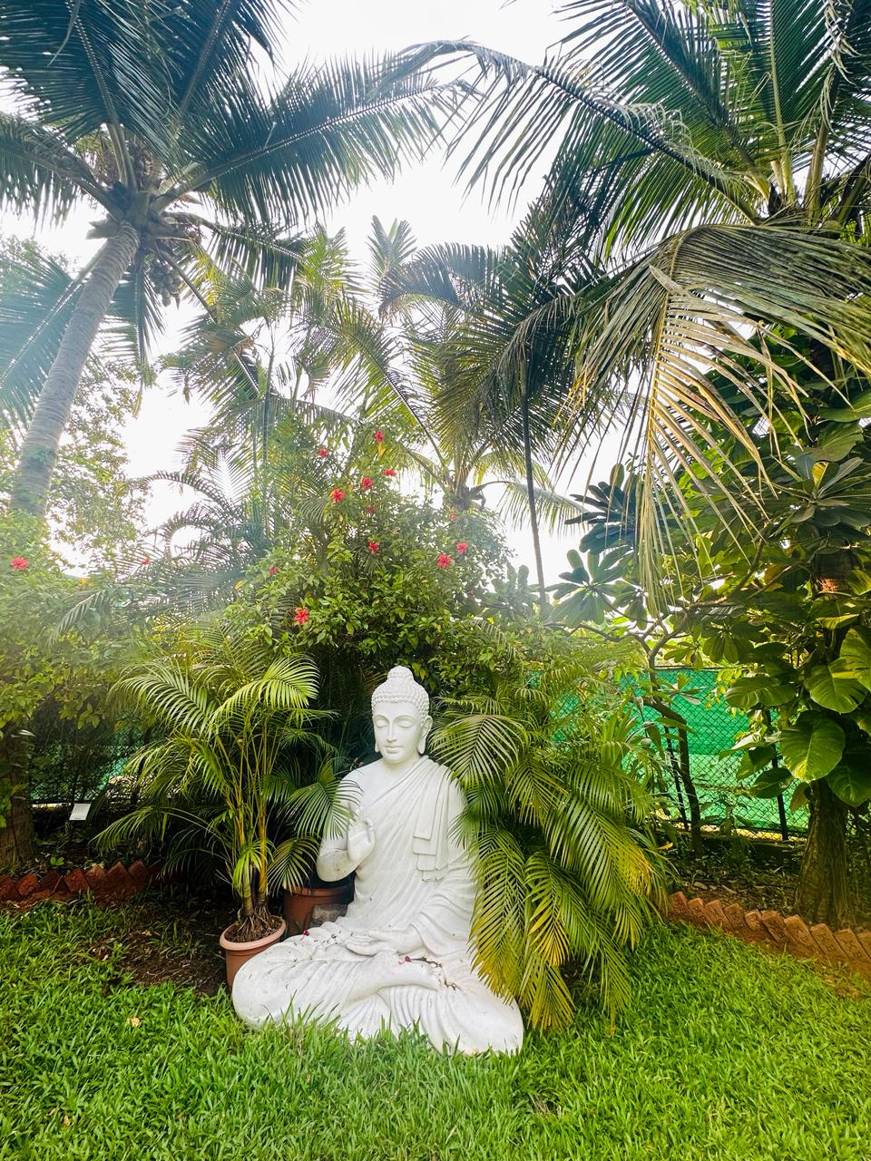 Birds Nest Villa FAQ